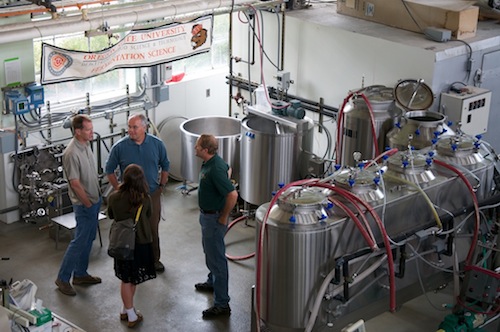 Food Technology (SS)