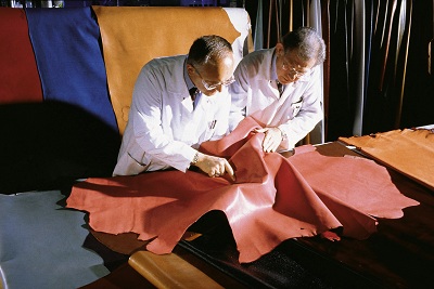 Leather Technology